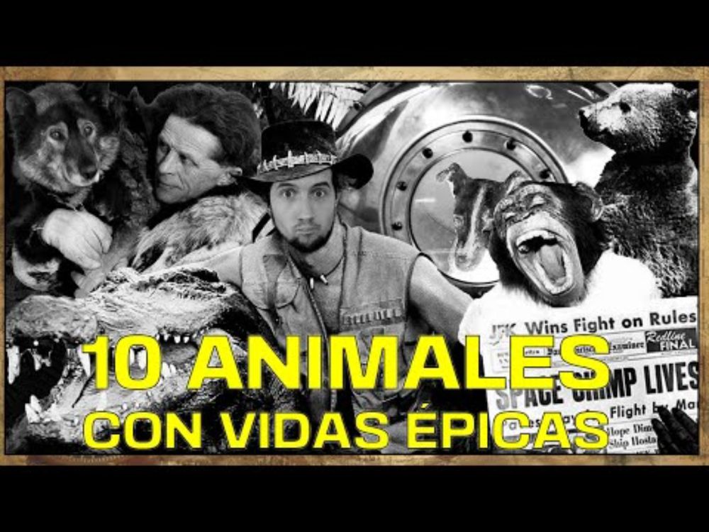 10 ANIMALES CON VIDAS INCREÍBLES