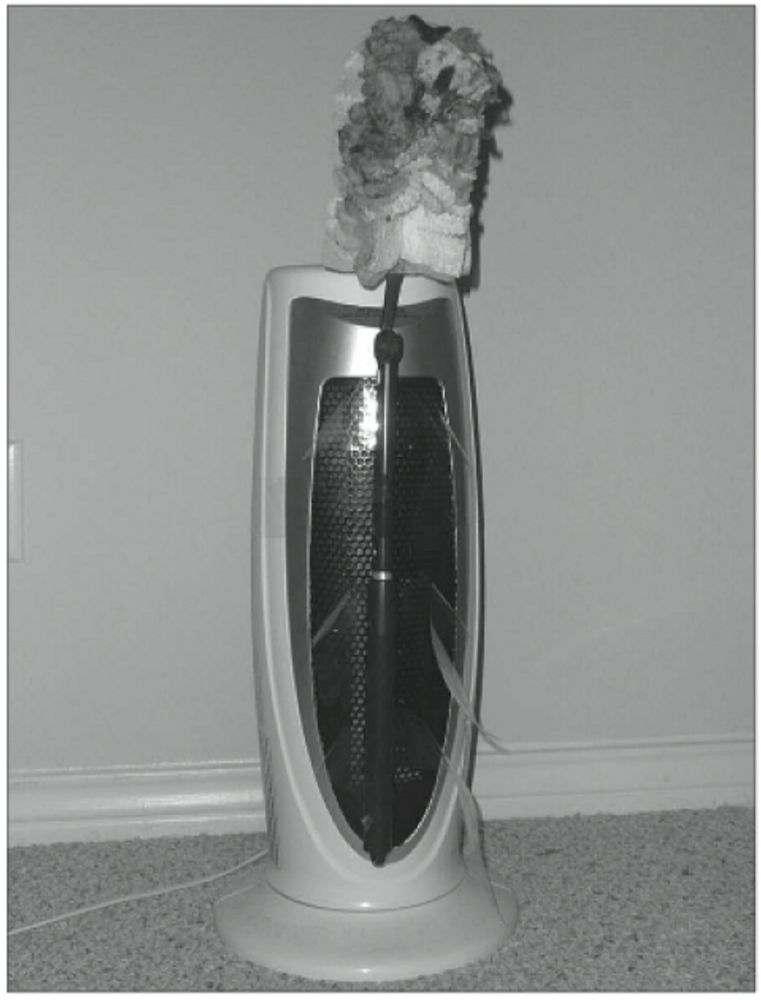 This (ahem) “space heater” earned a government Energy Star rating.Photo: Government Accountability OfficeWell this is embarrassing: Federal monitors granted the Energy Star stamp of approval to a numb...