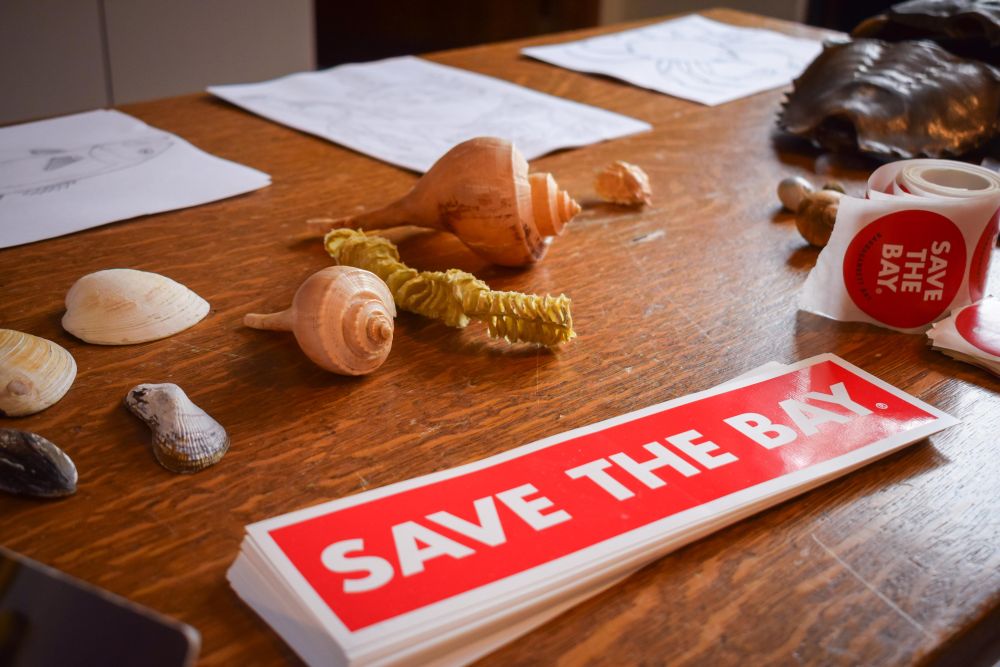 Save the Bay bumper stickers on a table with various shells