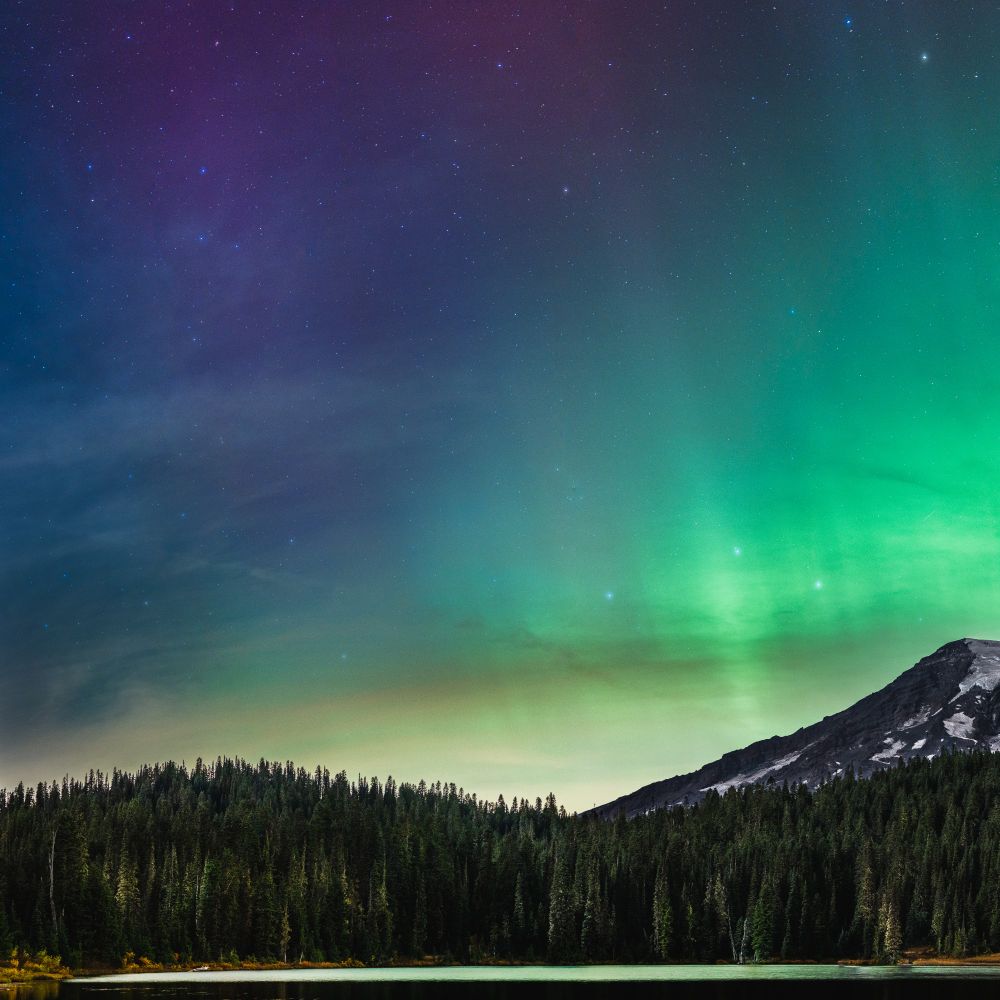 Left half of a two-panel frame showing a vibrant auroral light show over the famous outline of Tahoma (Mt. Rainier). This half of the frame shows aurora of a more blue-ish purple hue extending out of the bright green portion of the display near the horizon.