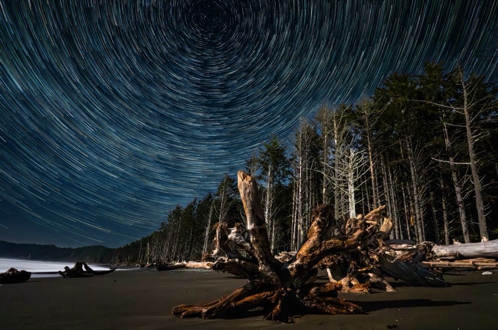 Star trails swirl over a heavily wooded beachfront in Olympic National Park 