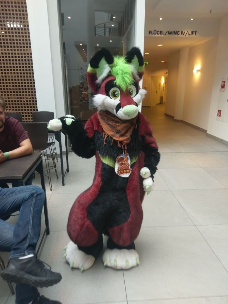 Jacky fursuit looking very smoll and cute