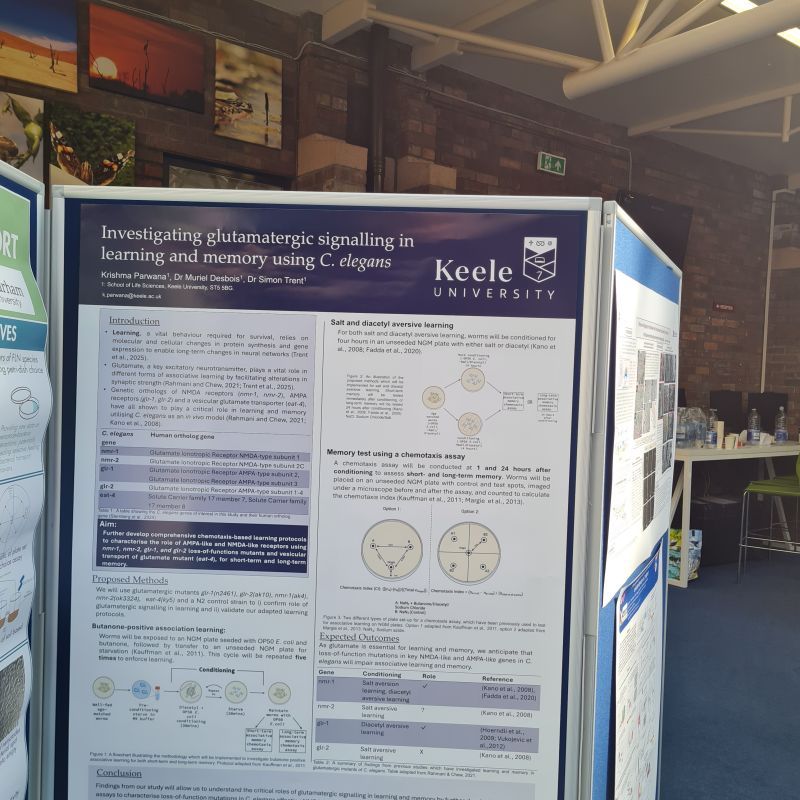Scientific poster