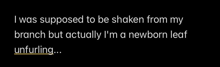 from the notes app: I was supposed to be shaken from my branch but actually I'm a newborn leaf unfurling...