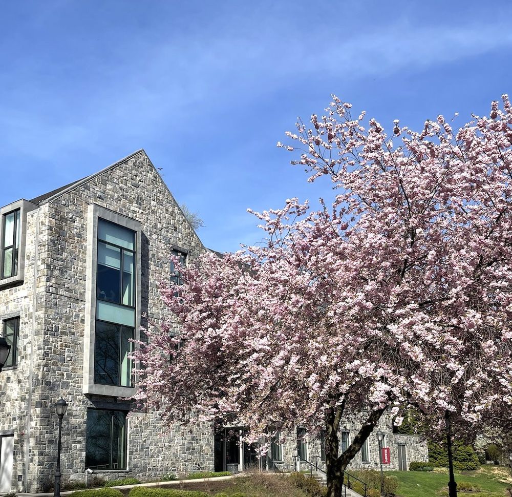 Grey stone Oechsle Center for Global Education building with pink blooming trees in foreground.