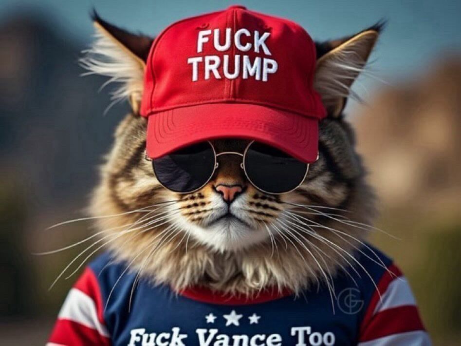 Maine coin cat wearing a red baseball cap that says Fuck Trump and his t shirt says Fuck Vance Too 