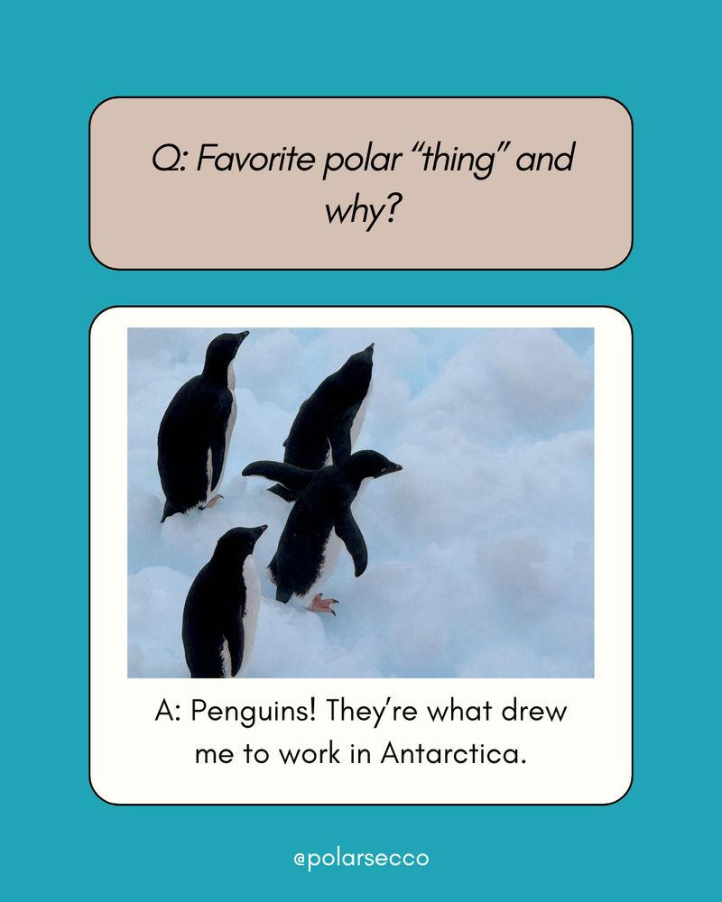 Q&A graphic on teal background 