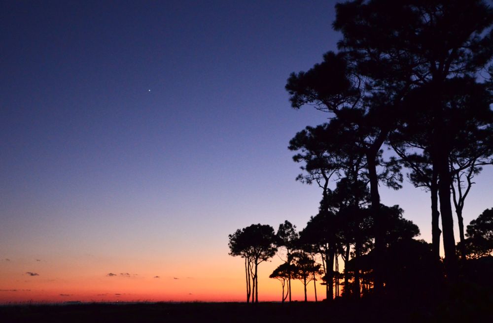 Beach at sunset with trees and gradient of color {copyright M Frost}