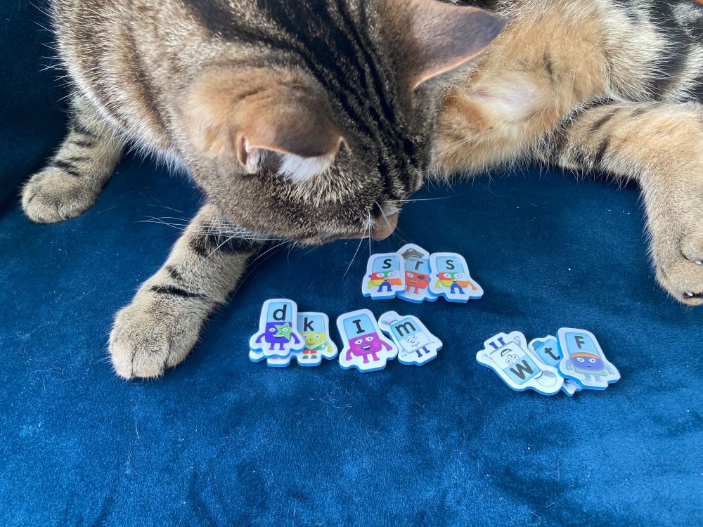 tabby cat investigating letters spelling common email anti-spam acronyms