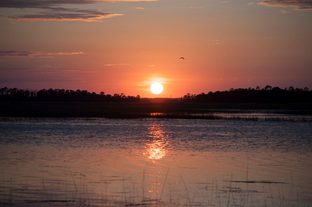 Summer sun just before it falls behind a low tree line, reflecting off the water in the foreground. A lone bird flies above the sun. 