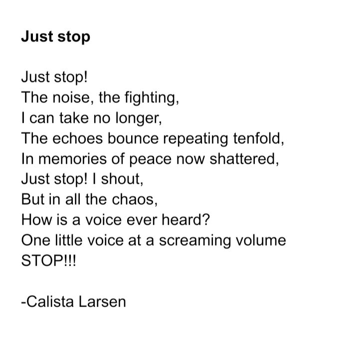 Just stop

Just stop!
The noise, the fighting,
I can take no longer,
The echoes bounce repeating tenfold,
In memories of peace now shattered,
Just stop! I shout,
But in all the chaos,
How is a voice ever heard?
One little voice at a screaming volume
STOP!!!

-Calista Larsen