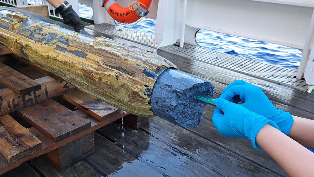 Blue serpentinite mud from a newly discovered mud volcano in a gravity core. The samples have been studied by a team in order to decipher the survival strategies of microorganisms. Photo: SO292/2 Expedition Science Party.