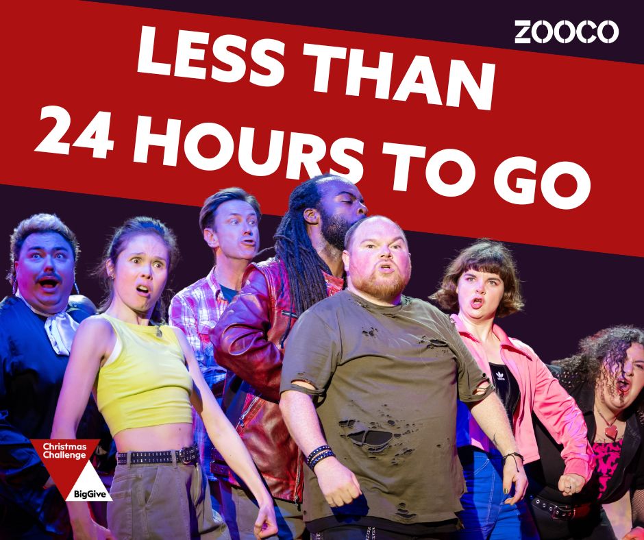 A group of 7 people in colourful outfits make gurning faces as they show off their muscles. Above, text reads - less than 24 hours to go. The Zoo Co logo is top right. The Big Give label is bottom left.