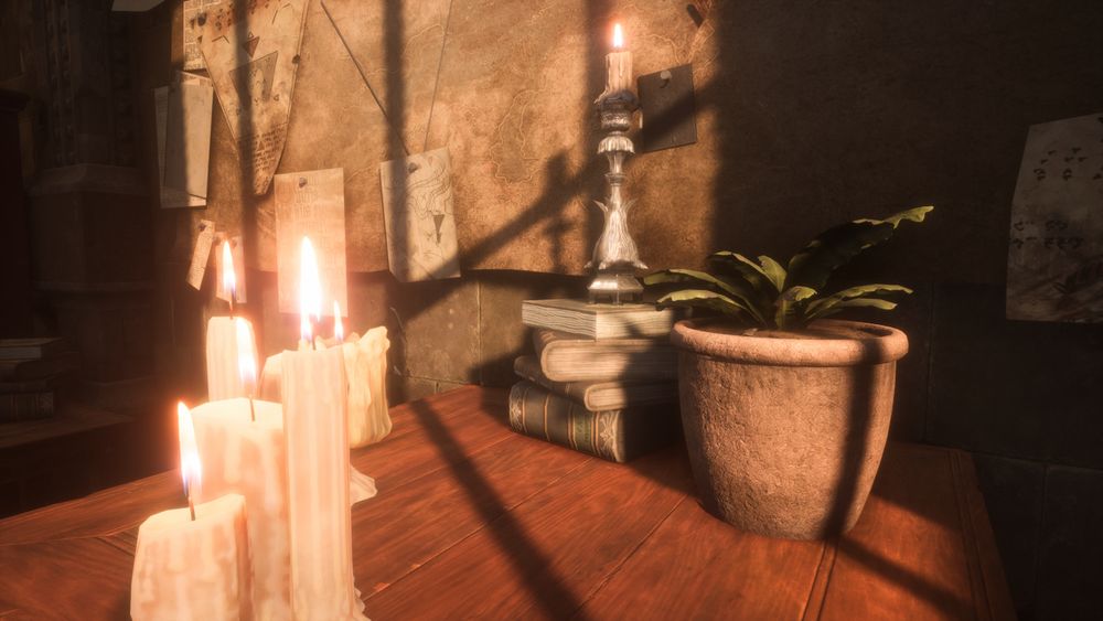 candles and books and a potted plant in Neves room