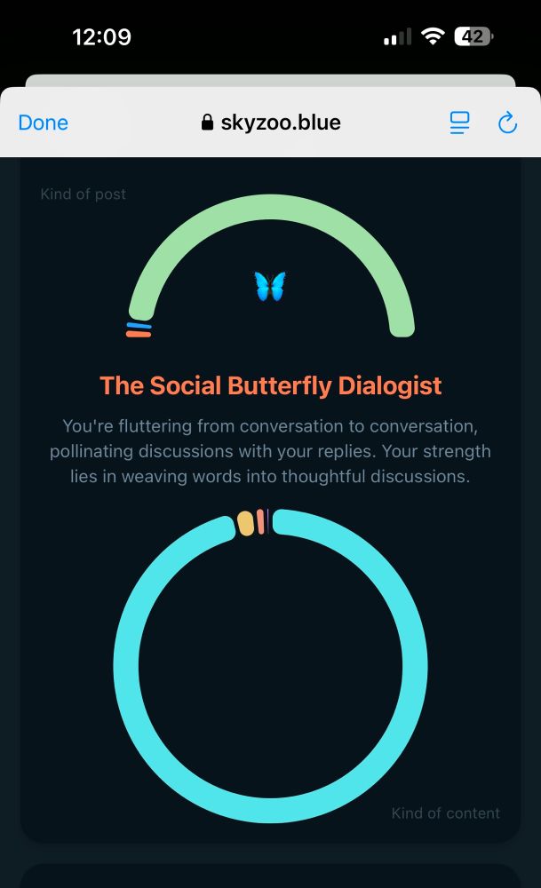 Description of my skeet activity 