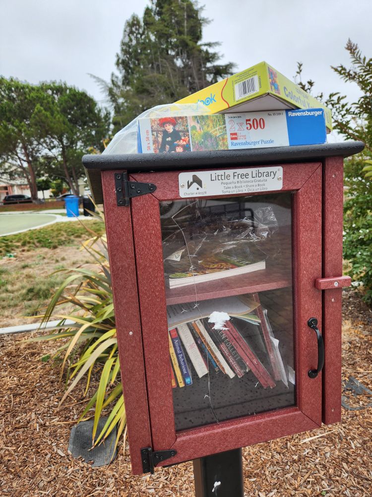 A red box with books inside and puzzles on top. Label reads "Little Free Library"