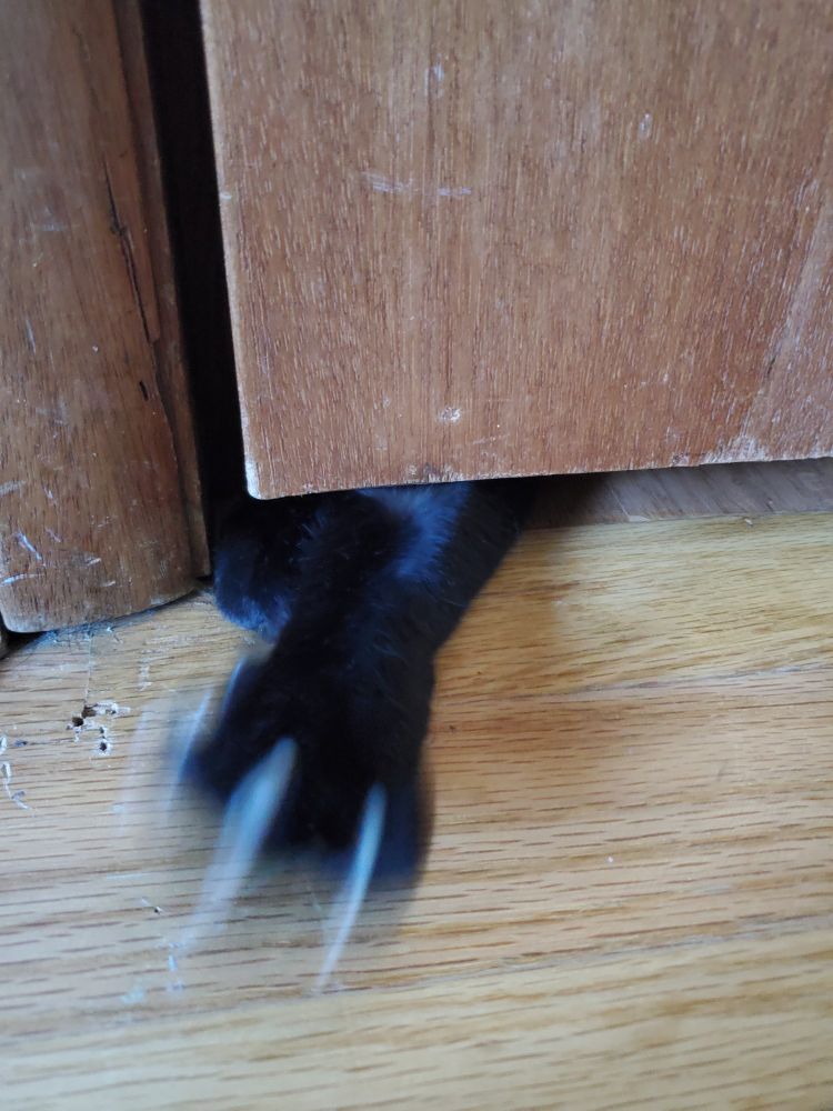 A clawed monster paw reaches from under a closed door