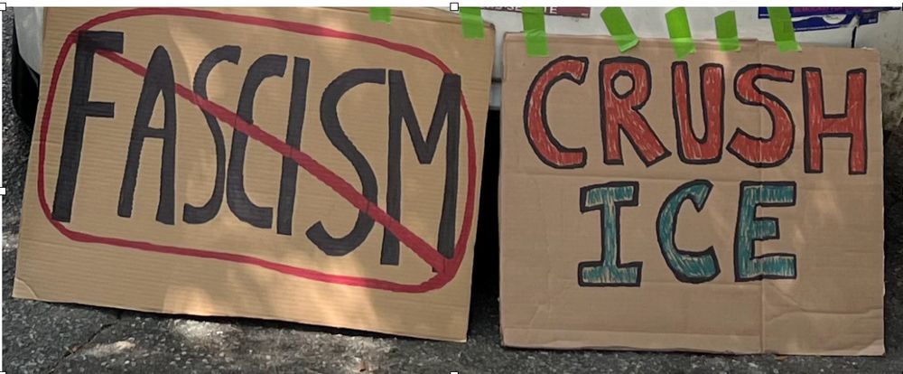 Two signs used in No Kings rallies, one says "FASCISM" with a bar through it, the other says "CRUSH ICE."