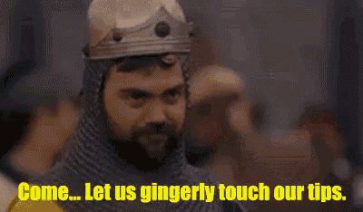 A dark haired, bearded knight in helmet and chain mail
Caption: “Come… let us gingerly touch our tips.”