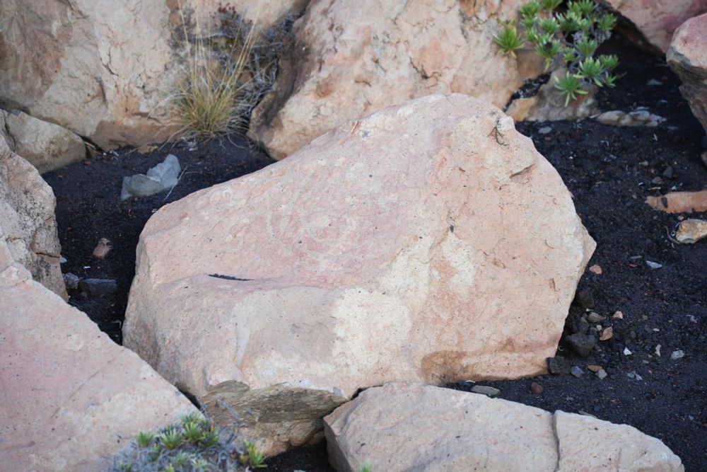 La Palma - Petroglyphs at Roque del Teneguía