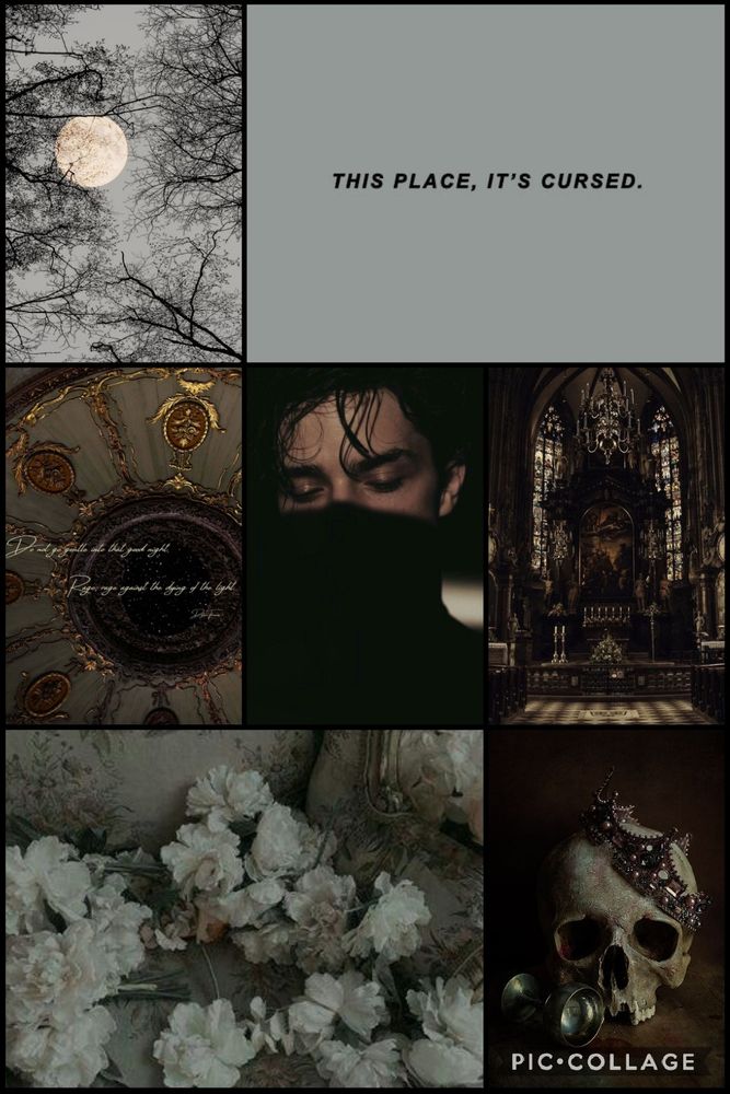 A collage of multiple dark images. A moon through black tree branches; a foreboding organ in front of a stained glass window; a bouquet of dying white flowers; a skull with a crown; a boy masked in shadow; a quote saying "this place, it's cursed"; a quote saying "do not go gentle into that good night. Rage, rage against the dying of the light."
