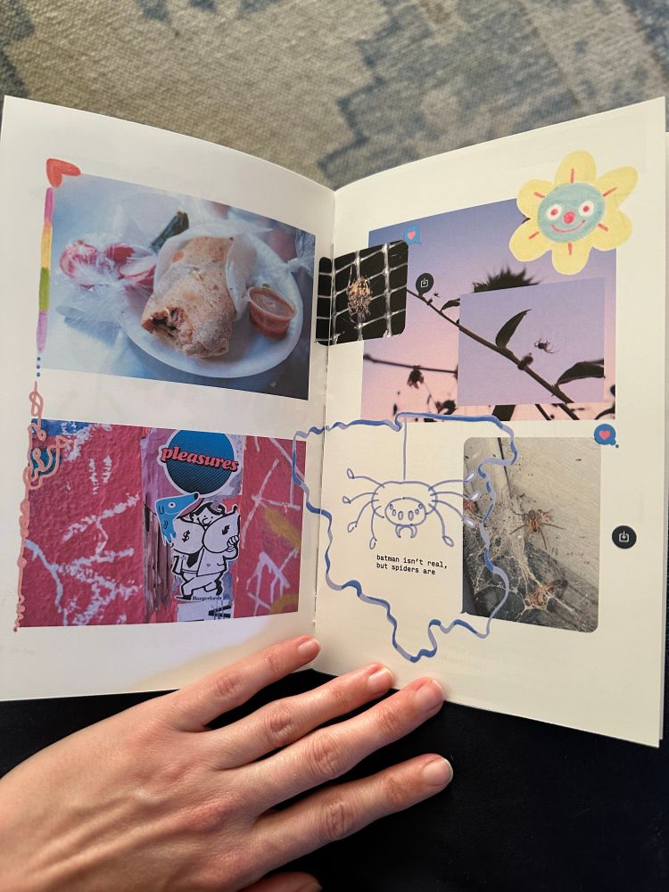 a photo of one of the spreads featuring photos of spiders and a burrito and some doodles