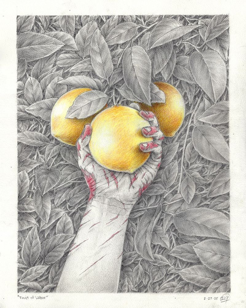 Amongst a backdrop of a lush grove, a scarred and bloodied hand reaches up to pick a golden fruit from a branch.