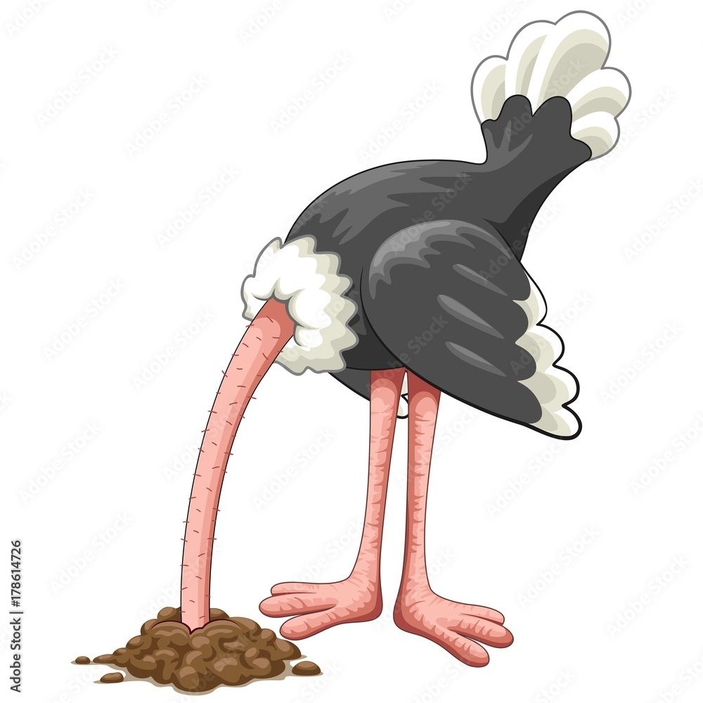 Comment image