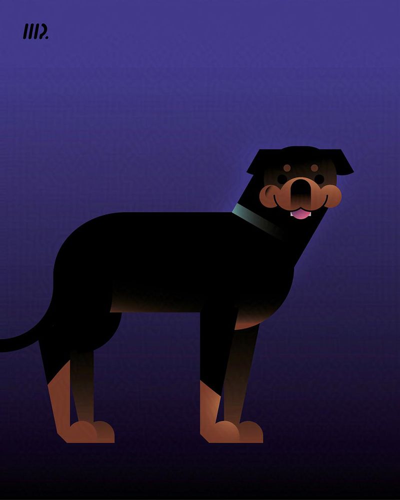 Caricature of Alexander Skarsgård's dog, an adorable Rottweiler-Lab mutt
