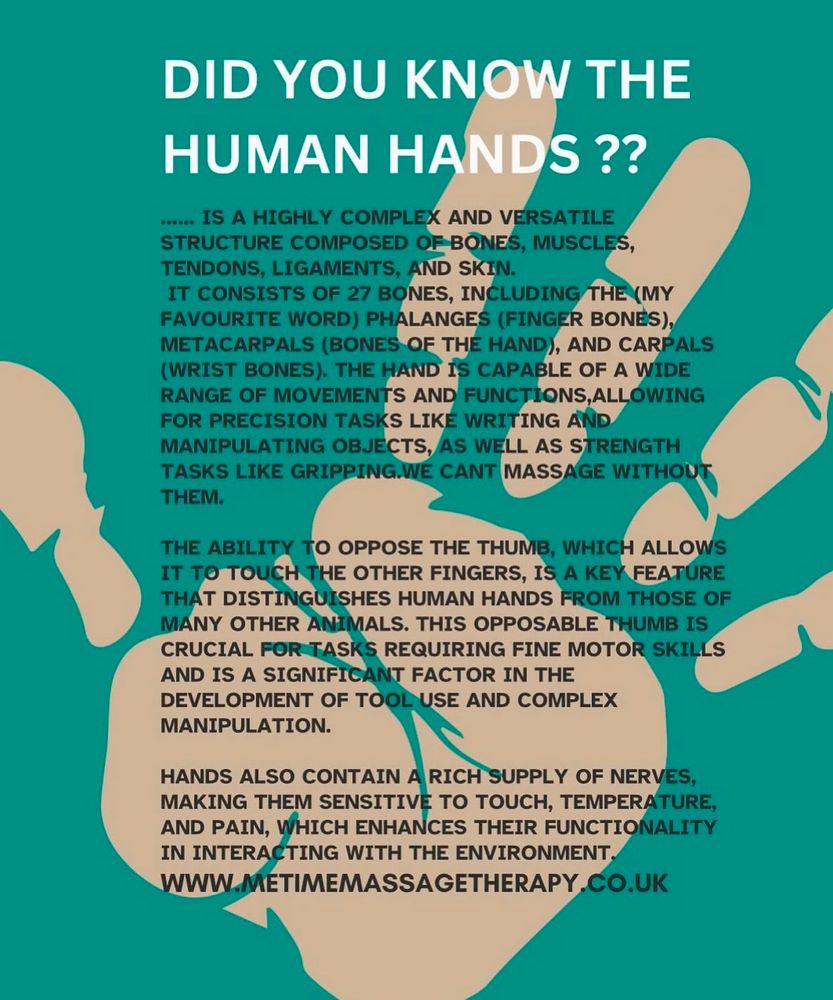 The human hands 🙌 