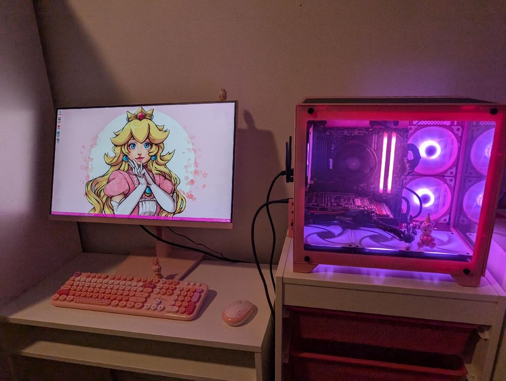 Photo of a PC build. The clear side panel of the pink case reveals pink LED lights and fans inside.

On the left, a pink framed monitor shows a Princess Peach Desktop. On the desk a pink mouse and keyboard rest below the monitor.