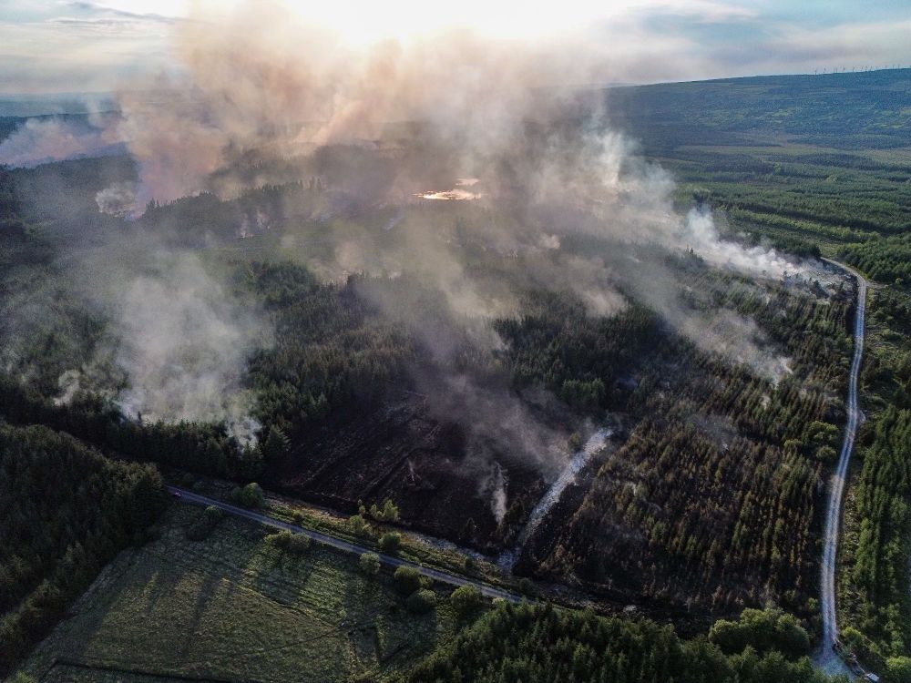 Aerial photo of fires across some forestry plantations. Multiple, large smoke plumes can be seen from different sections of land.