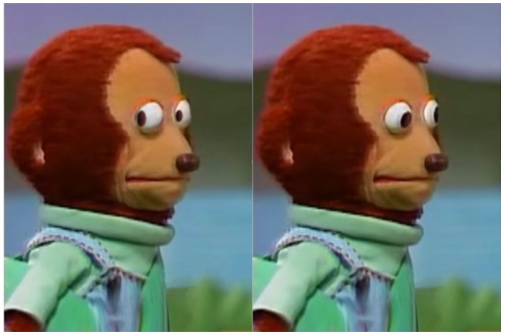 The awkward monkey meme. 