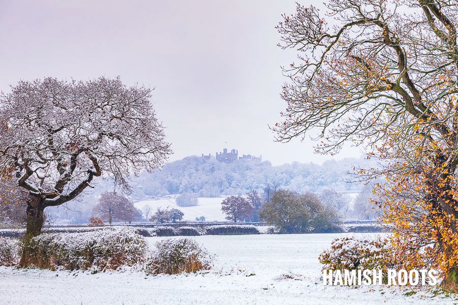 A photograph by photographer Hamish Roots, of a view of Belvoir Castle (Lincolnshire) in the snow. 