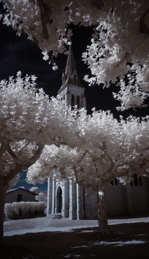 Looking through trees to a church in the background. The canopy of the trees creates deep shadows on the ground. The foliage is white and the sky is dark blue. This in an infrared photo.