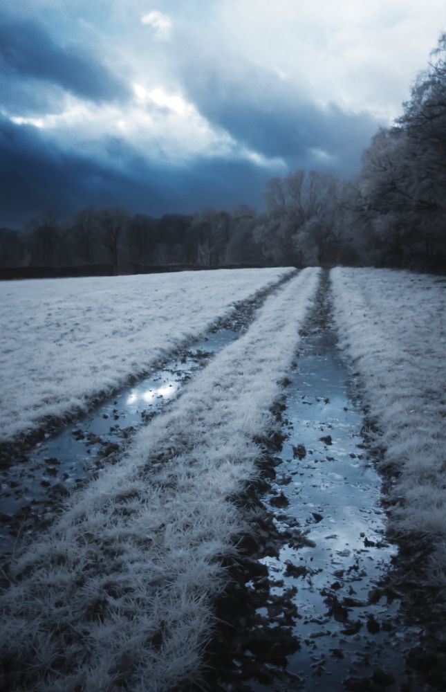 Muddy, waterlogged tracks through a field. The heavy, cloudy sky is reflected in the puddles. Leafless trees line the edge of the field.