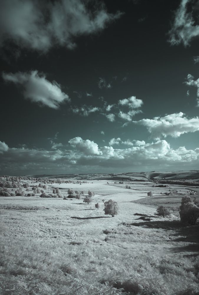 Looking south across moorland towards the Chatsworth Estate in the distance. A few trees and patches of woodland are scattered across the moor. The sky is blue with some big white clouds. This is an infrared photo.