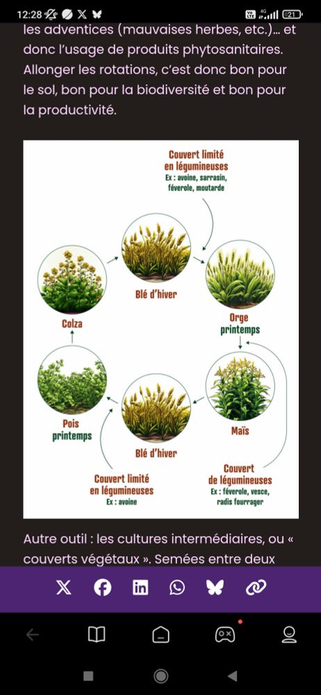Schéma de rotation de cultures.
Blé d'hiver puis orge, mais, Blé d'hiver, pois, colza.