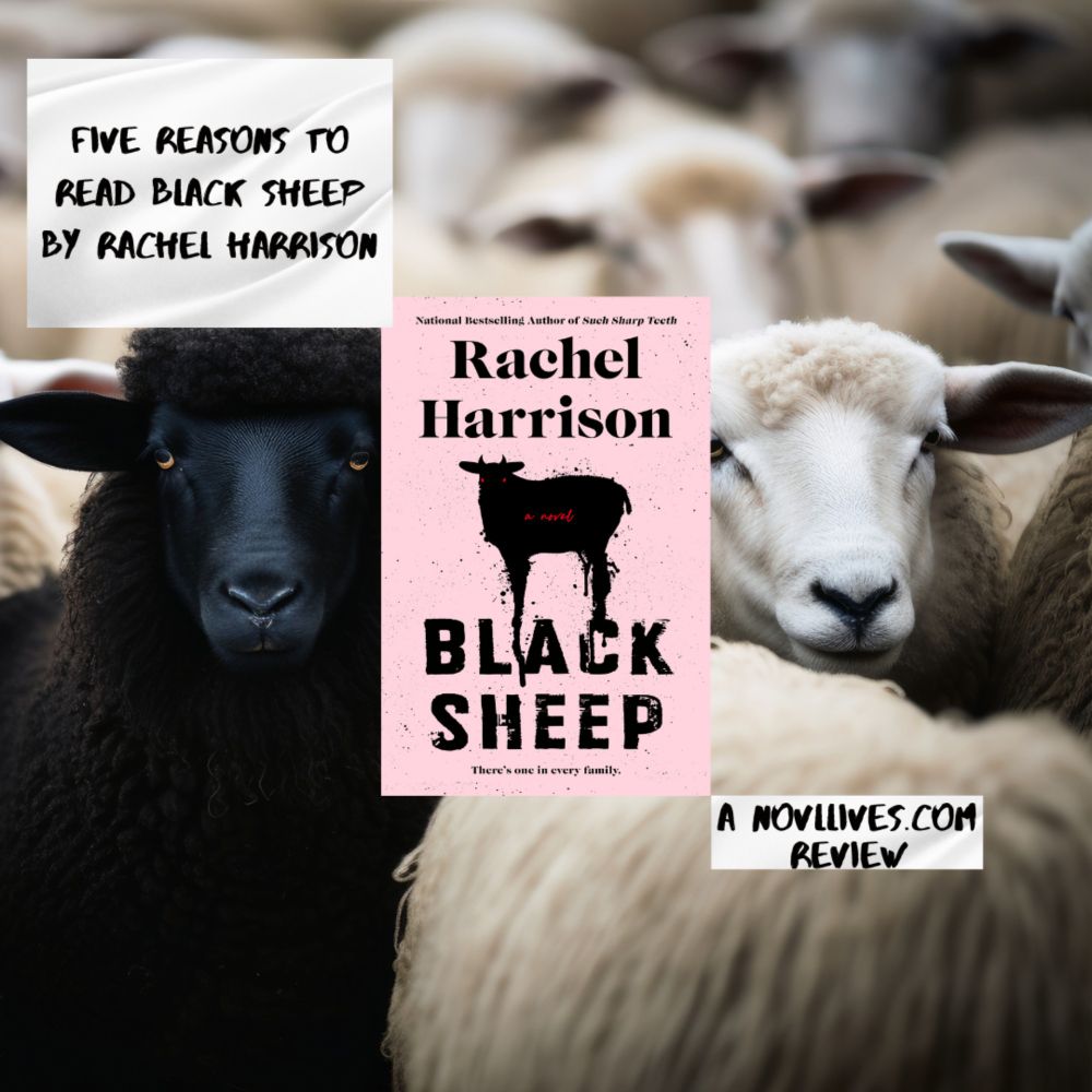 Five Reasons To Read The INSANLEY INCREDIBLE Black Sheep By Rachel Harrison