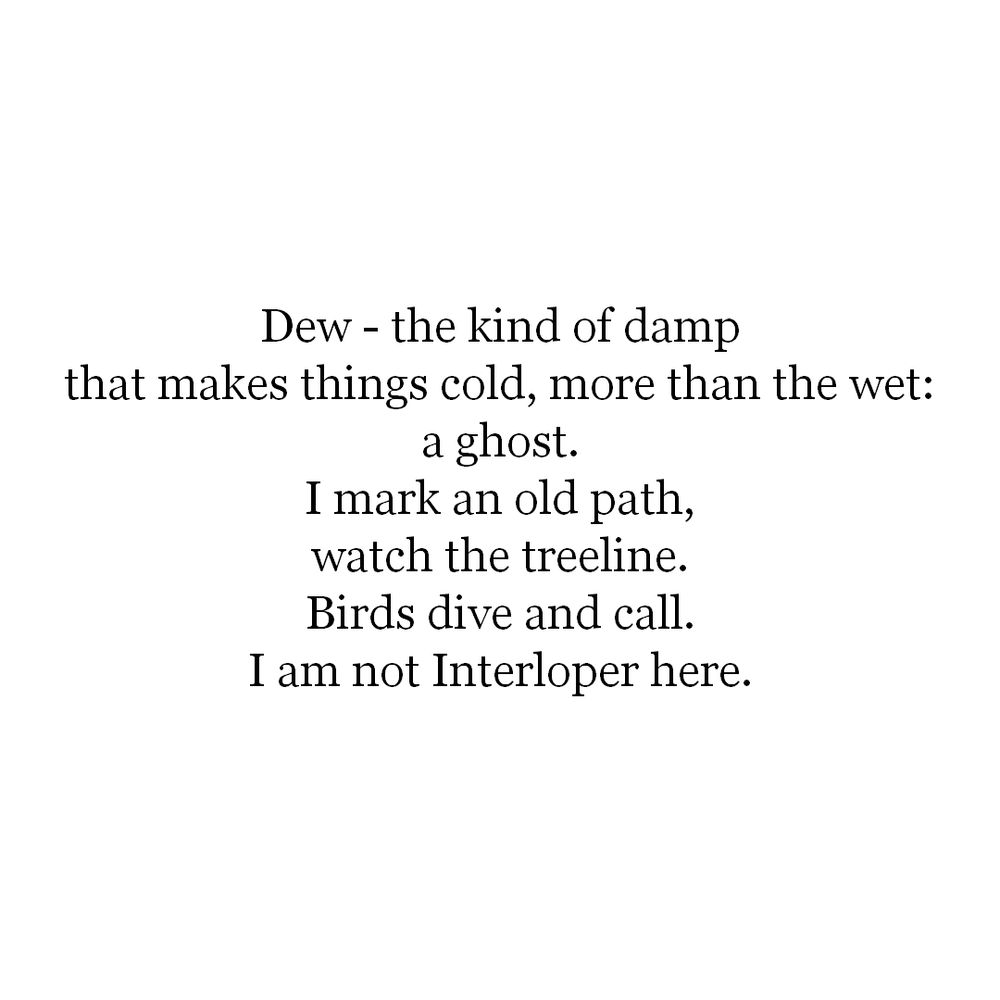 Dew - the kind of damp
that makes things cold, more than the wet:
a ghost.
I mark an old path,
watch the treeline.
Birds dive and call.
I am not Interloper here.
