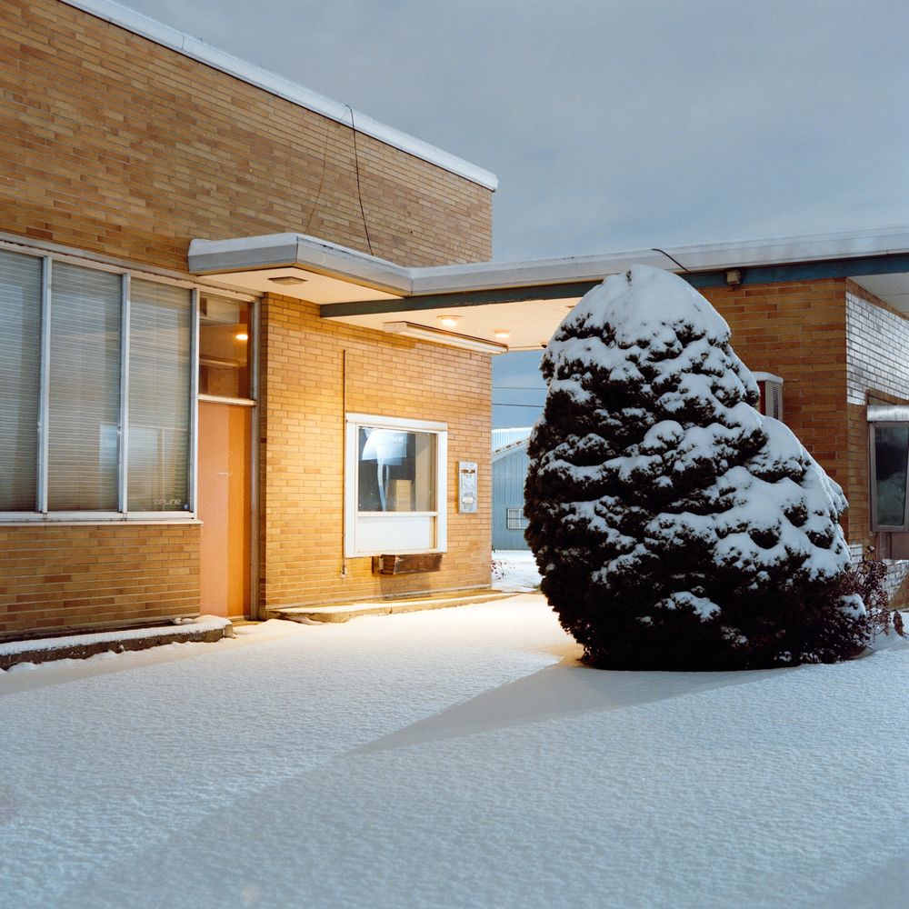 A brick building with a hedge covered in snow. The ground is covered in a nice clean undisturbed layer of snow