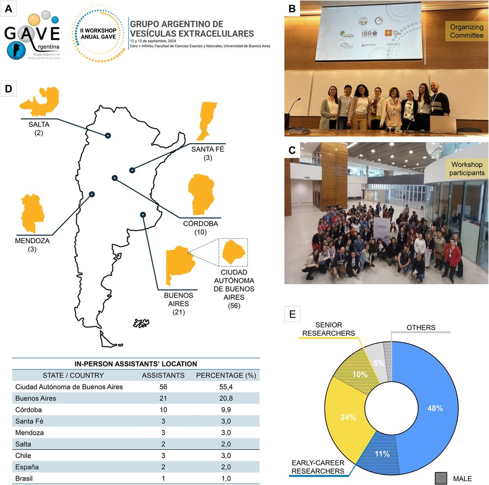II GAVE Workshop organization and attendee information. (A) GAVE logo (left) and II GAVE Workshop logo (right). (B) Members of the organizing committee. (C) In-person assistants. (D) Scheme of the geographical distribution of Argentine attendees (top) and table showing the in-person assistants' locations (bottom). (E) Attendees by career stage and gender. Blue, early-career researchers; yellow, senior researchers; gray, others; line pattern, self-identifying male attendees.