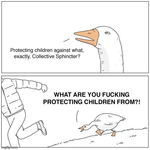 "Protectin children against what, exactly, Collective Sphincter?" (Collective Shout. Their logo looks like an ANAL SPHINCTER)

"WHAT ARE YOU FUCKING PROTECTING CHILDREN FROM?!"