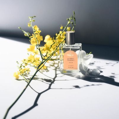 Promo shot of Southern Freshness with yellow and white flowers. 