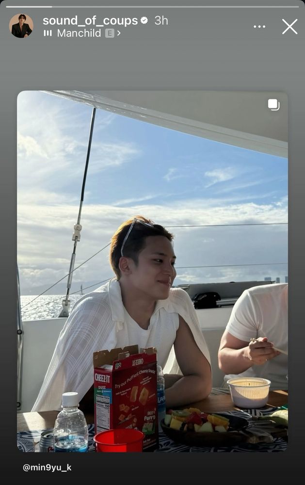 A screenshot of S.Coups’ Instagram story sharing Mingyu’s post with the Cheez-Its. 