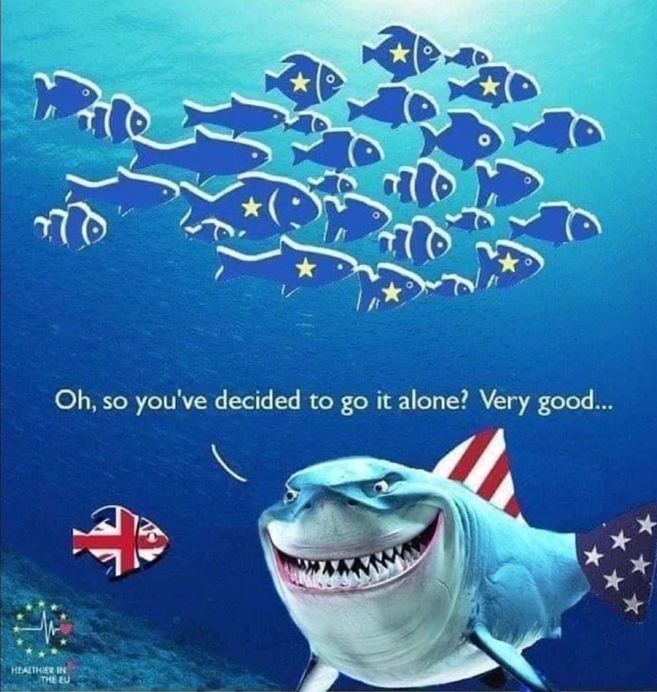 A united school of fish (in fish shape) with European stars swims above. 

Below there is a solitary fish with a UK flag on it. He’s facing a shark with US flag on it who says “Oh, so you’ve decided to go it alone! Very good…”
