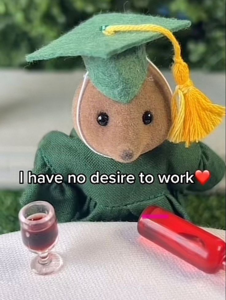calico critter in a cap and gown sitting at a table with a bottle of wine and saying “I have no desire to work❤️”