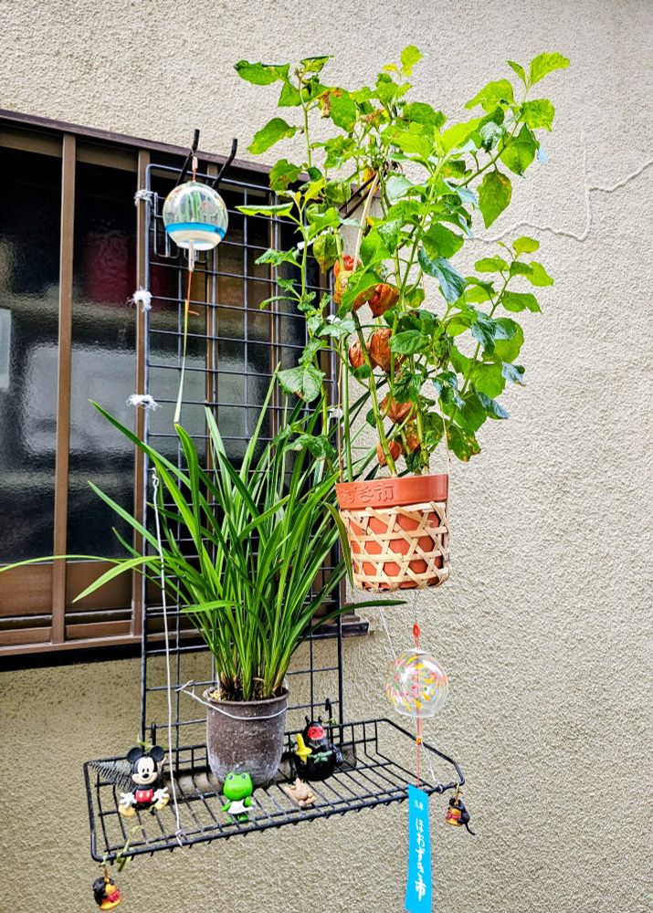 Wind chime in Tokyo with plants