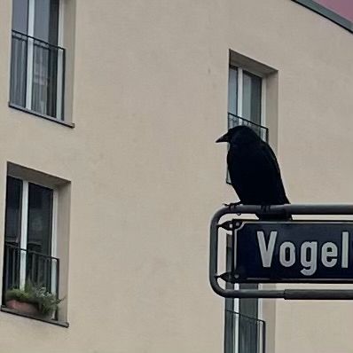 Ein Straßennamenschild auf dem eine Krähe sitzt. Auf dem Schild ist nur “Vogel” zu lesen. Im Hintergrund ein Haus. 