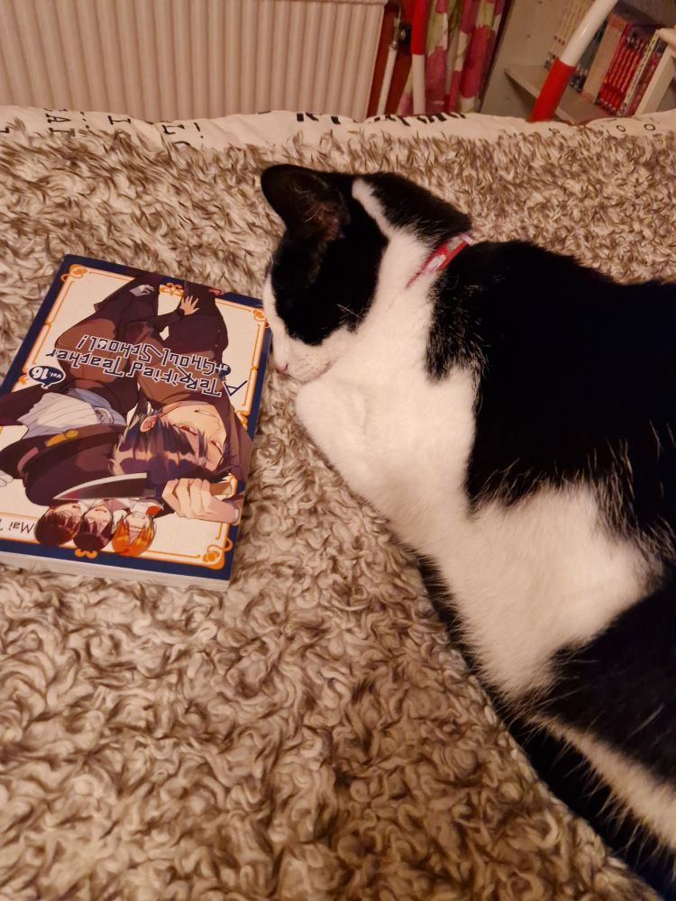 A black and white cat sleeps next to volume 16 of A Terrified Teacher at Ghoul School 